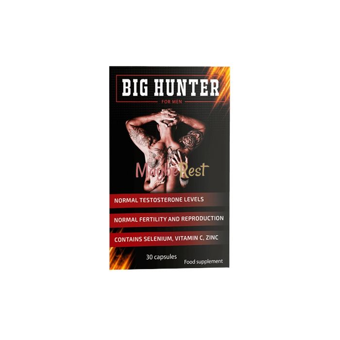 Big Hunter 